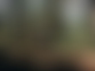 Corrida e Osteoporose: Benefícios, Riscos e Recomendações (por Dr. Guilherme da Costa)