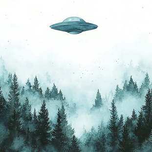 Aliens and Taxes