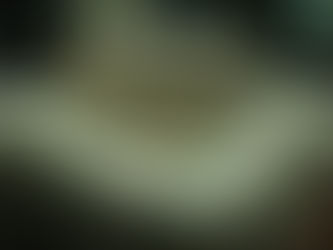 Zelfde zaal. Zelfde massa. Andere mindset.