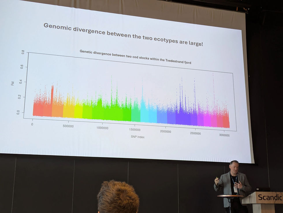 Project partner, Dr. Halvor Knutsen, at the Oikos Conference in Bodø presenting the latest genomic research on Atlantic cod ecotypes (Photo by Albert Fernandez Chacon).