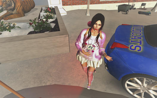 Post No 66: The Little Kittie wants some Fun