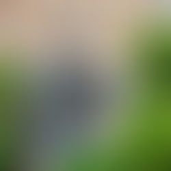 5 Signs Your AC System Needs Repair Before Summer Hits