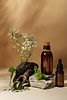phytotherapy-items-arrangement-still-life.jpg