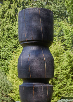 Spin Cycle IX & X, 2019