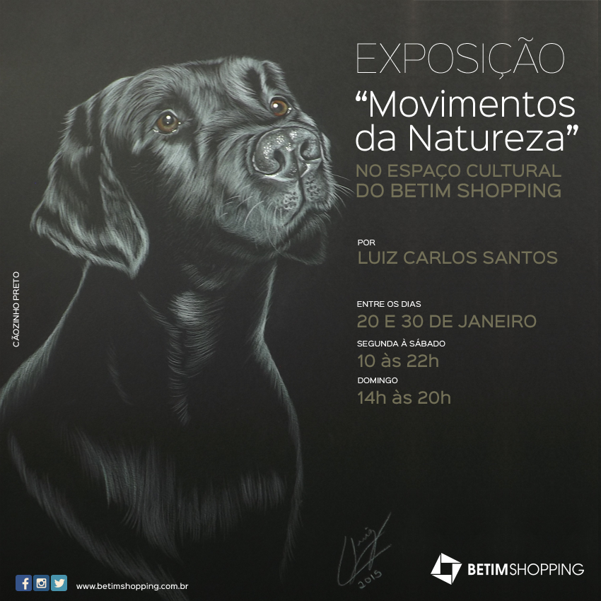 Exposição