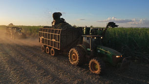 Tecnologia é aliada da CRV Industrial em Minas Gerais...