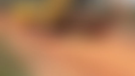 CRV Industrial recupera estradas vicinais...