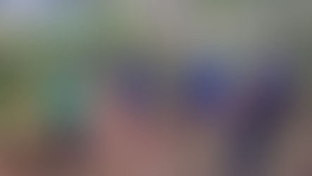 Usina CRV Industrial promove curso de proteção das nascentes...