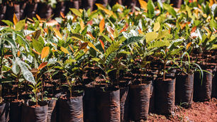 CRV Industrial terá Centro de Educação Ambiental