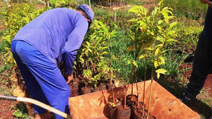 CRV Industrial faz doação de mudas para Secretaria de Meio Ambiente de Ceres...