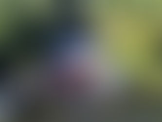 CRV Industrial, unidade de Capinópolis participa da Semana do Meio Ambiente...