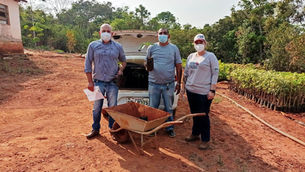 CRV Industrial realiza doação de mudas...