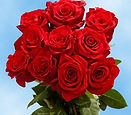 ROSES.jpg