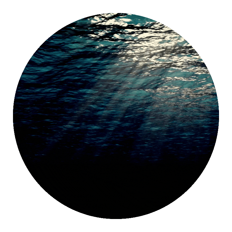 Untitled design-2.gif