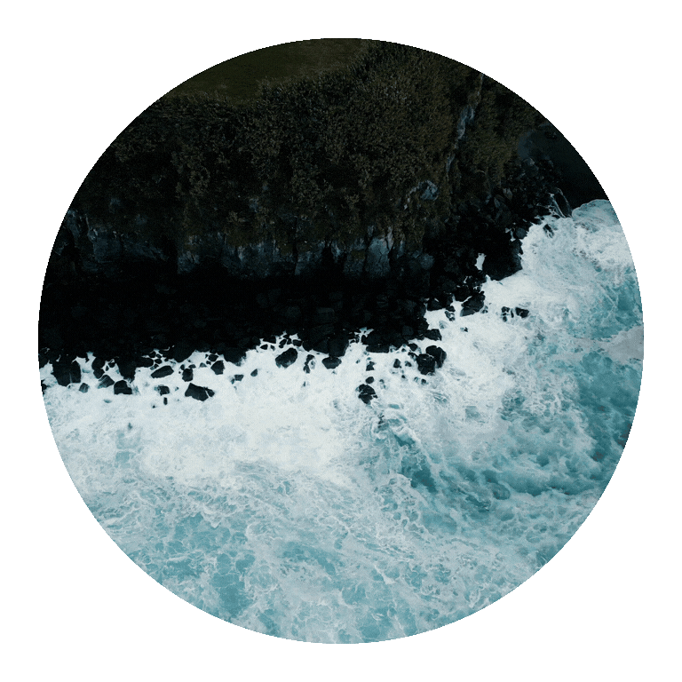 Untitled design-2.gif