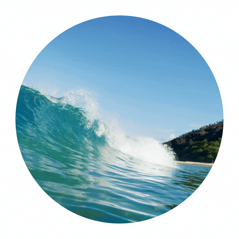 Untitled design.gif