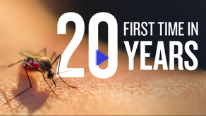 These Are the States Affected by Malaria-Carrying Mosquitoes