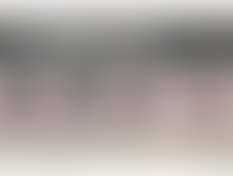 2017.9.18. 미주 한국일보 "MD 한인사회 하나된 날"