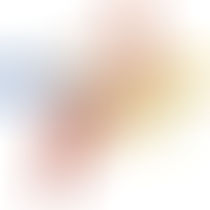 CONFÉRENCES PUBLIQUES