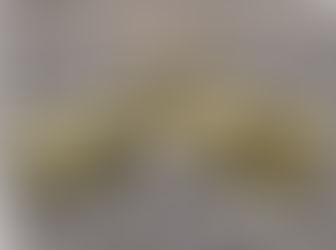 Le 4e Septentrion de la Bière !