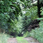 chambost logessaigne 012