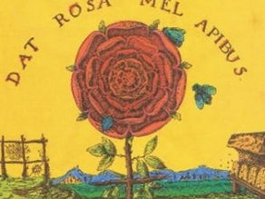 Dat Rosa Mel Apibus, l'Abeille d'Or