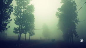 Foggy tree-lined road with a car and two pedestrians, power lines overhead, eerie green-gray mist.