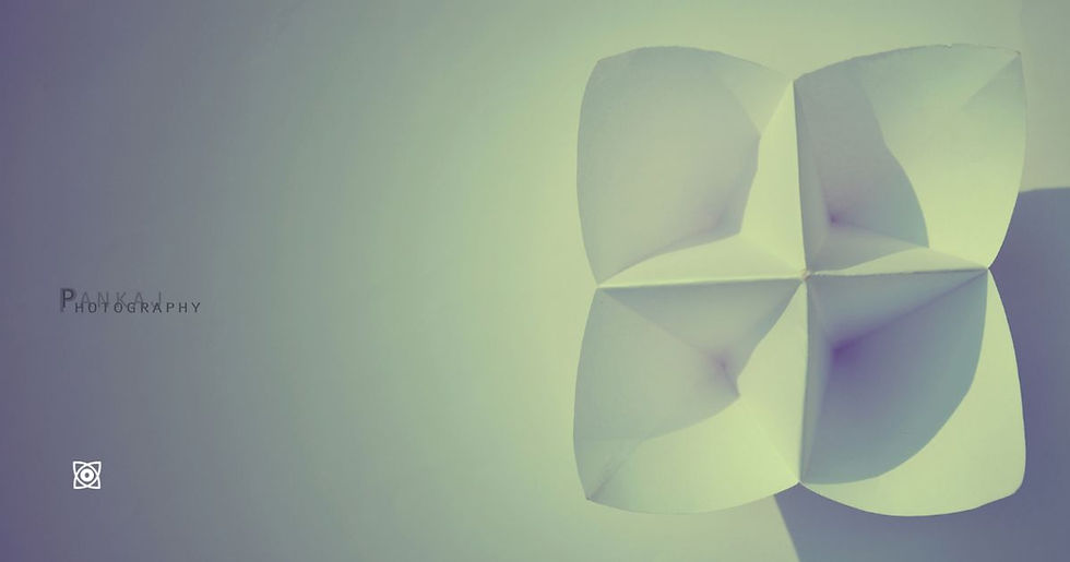 Abstract white folded paper flower on pale green background.