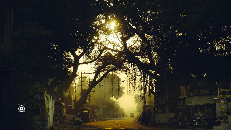 Cover Photo by Pankaj Tottada