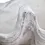 Thumbnail: Henley Shell Sculpture