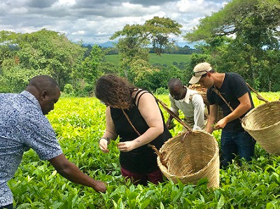 Nurturing Partnerships and Community Through Travel: Collaboration with Justice Tourism Foundation