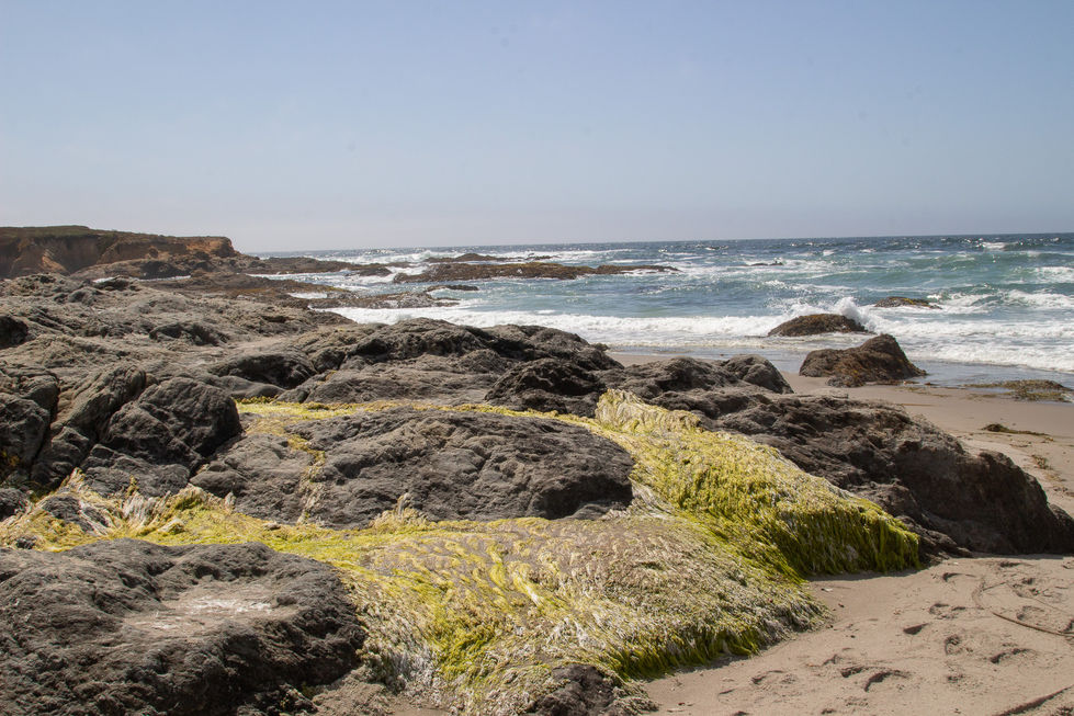 IMG_5320 Virgin Creek