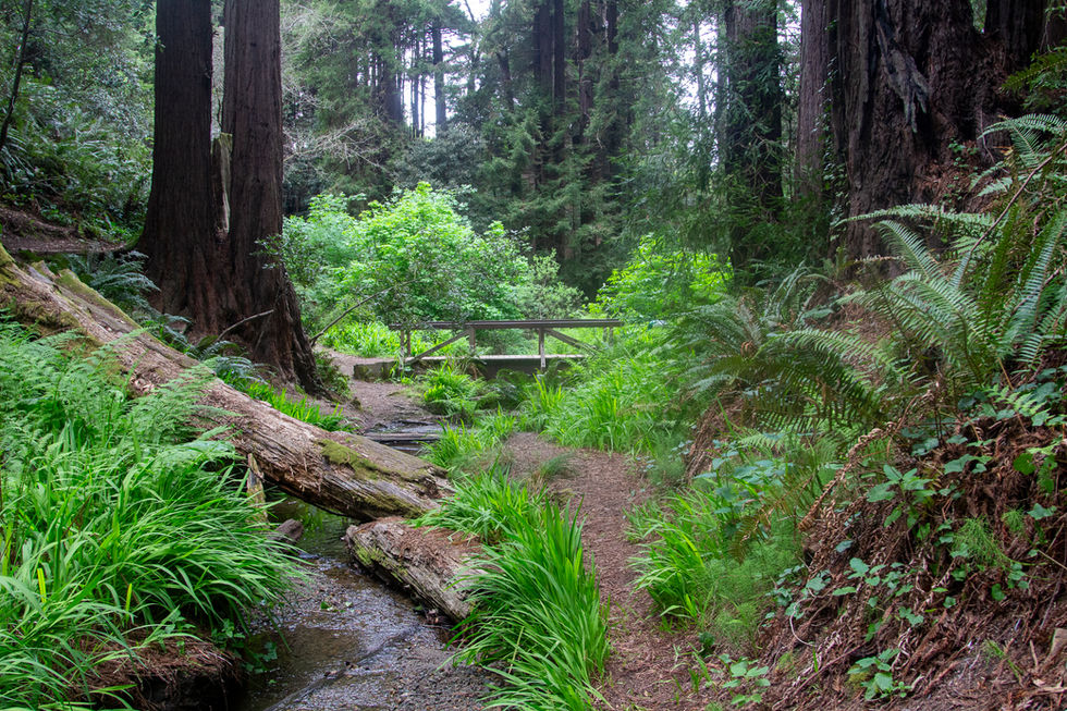 Otis Johnson Park  (24 images)