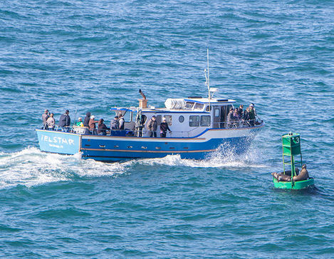 IMG_8403_03_28_26 Party Boats