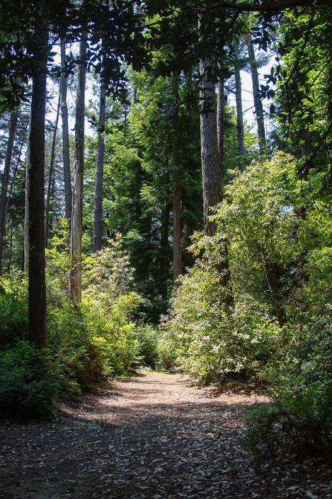 IMG_4576 Colombi Park