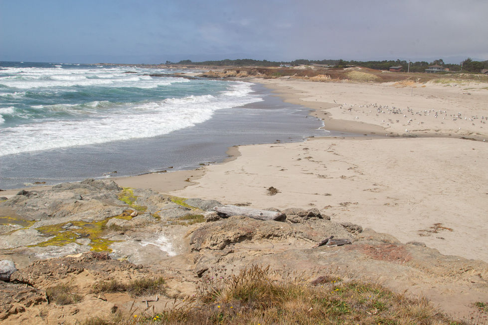 IMG_5325 Virgin Creek