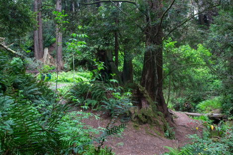 IMG_9414_04_06_26 Johnson Park