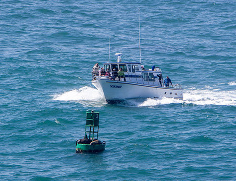 IMG_8539_03_28_26 Party Boats