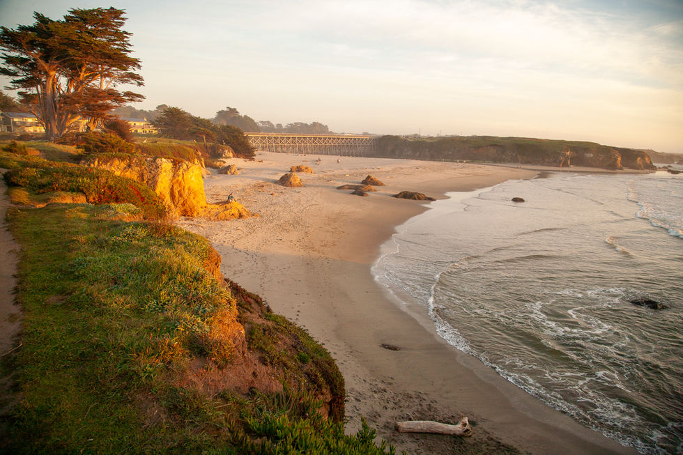 Pudding Creek from north bluff path at sunset.