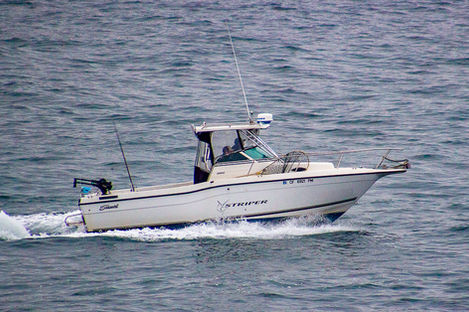 260805_IMG_2384