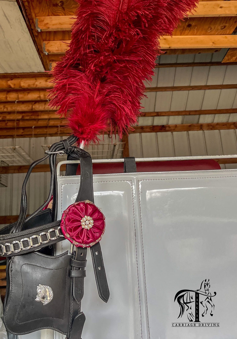 Thumbnail: Browbands and Rosettes