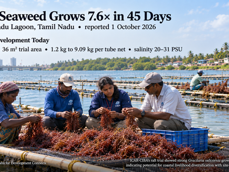 Tamil Nadu Red Seaweed Trial Shows 7.6× Biomass Growth