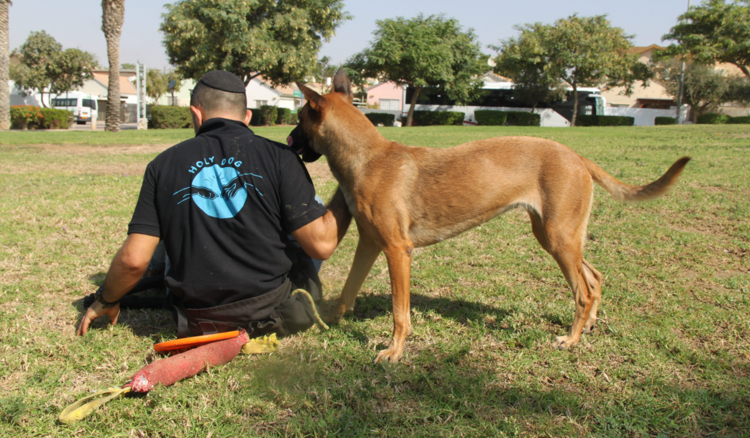 אילוף כלבים | Holy Dog - אלירז חסן | מחוז הדרום