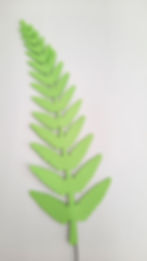 Miniatura: Folhagens Avulsas
