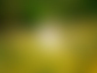 Small Guest Lists, Big Feelings: Why Intimate Weddings Are More Meaningful Than Ever