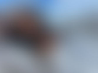 Librazhdi under snow, Municipality on full alert: emergencies and OSSH on the ground