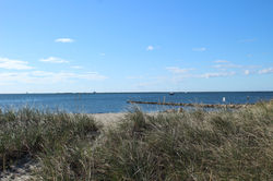 Cape Cod