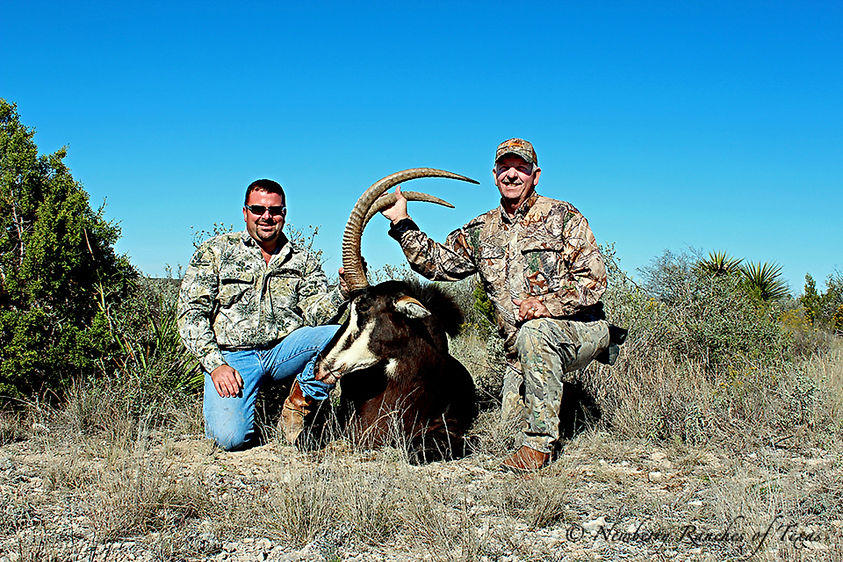 top_hunting.jpg