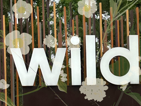 Re-wilding Yards in Wildlight