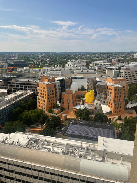 Boston Photos!